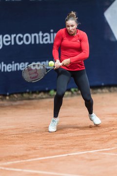 Bild 486 - BL DTV Hannover - BW Dresden Blasewitz : Ergebnis: 2:7